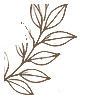 Botanical Flourish